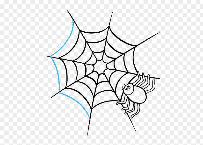 Spider Spider-Man Drawing Web A Spider's PNG