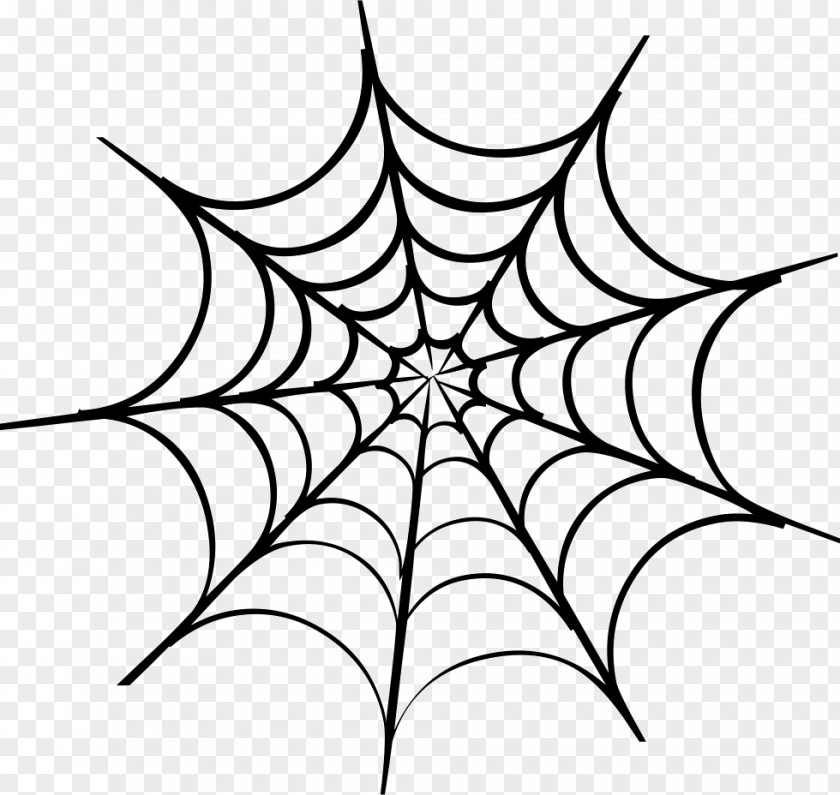 Spider Web Clip Art PNG