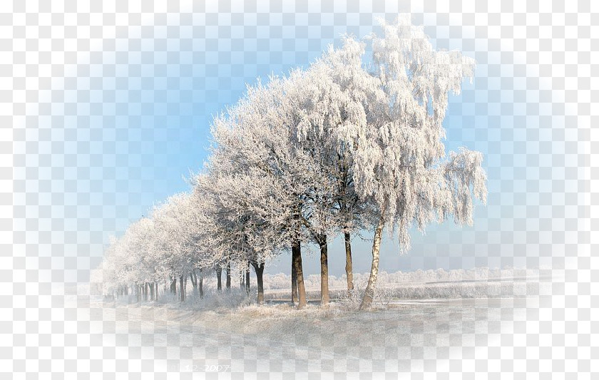 Winter Landscape Desktop Wallpaper Tree Snow Stock Photography PNG