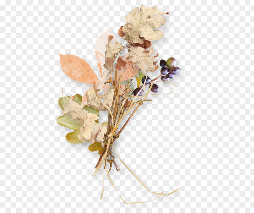 Antique Flowers Illustration Material PNG
