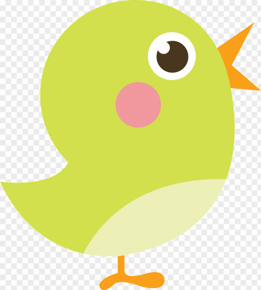 Beak Clip Art Bird Paper Drawing PNG