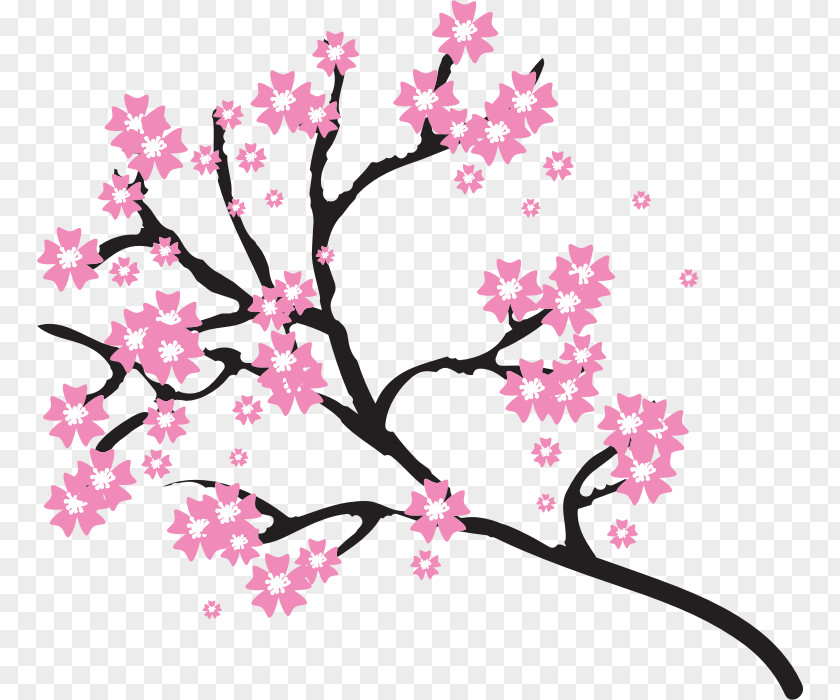 BLOSSOM Cherry Blossom Drawing Clip Art PNG