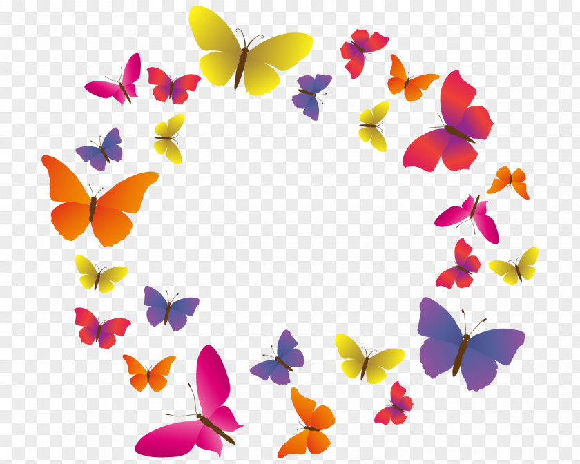 Butterfly South Korea Health Care Organization PNG