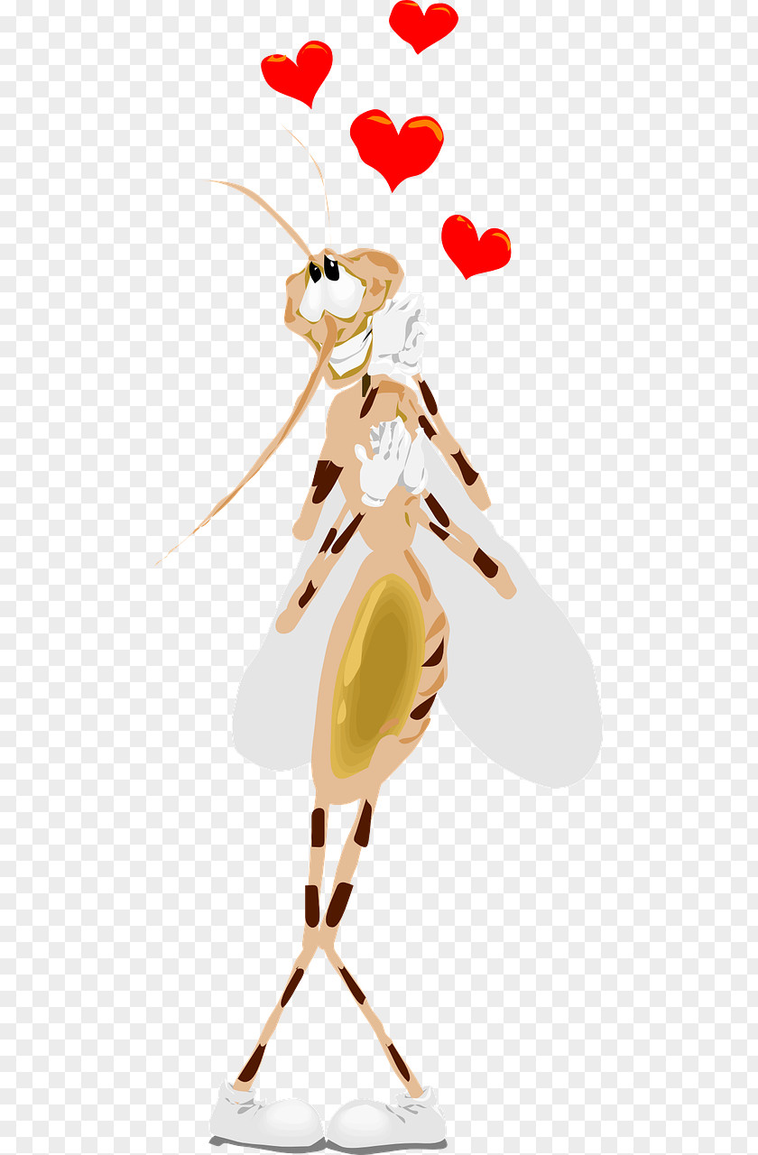 Happy Ant Marsh Mosquitoes Insect Yellow Fever Mosquito Fly Vector PNG