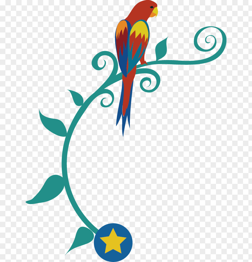 Parrot Macaw Bird Clip Art PNG