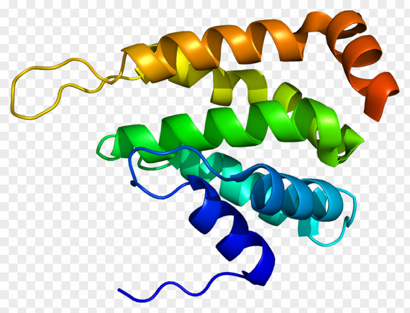 Apparatus Pattern CLINT1 GGA2 ENTH Domain Clathrin Interactor 1 Protein PNG
