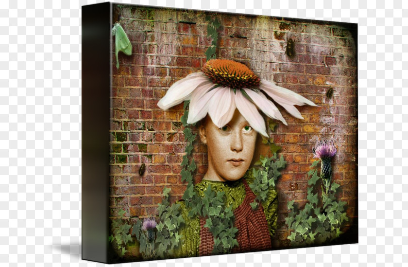 Painting Picture Frames Sunflower M Banksy PNG
