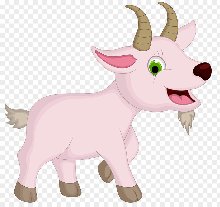 Cartoon Label Sheep Goat Drawing Clip Art PNG