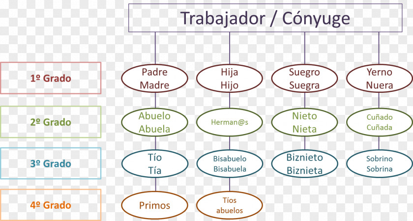 Line Organization Angle PNG