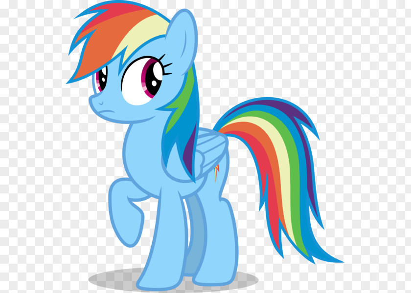 My Little Pony Rainbow Dash Pinkie Pie Applejack Fluttershy PNG