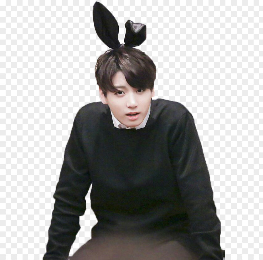 Rabbit BTS Desktop Wallpaper K-pop PNG