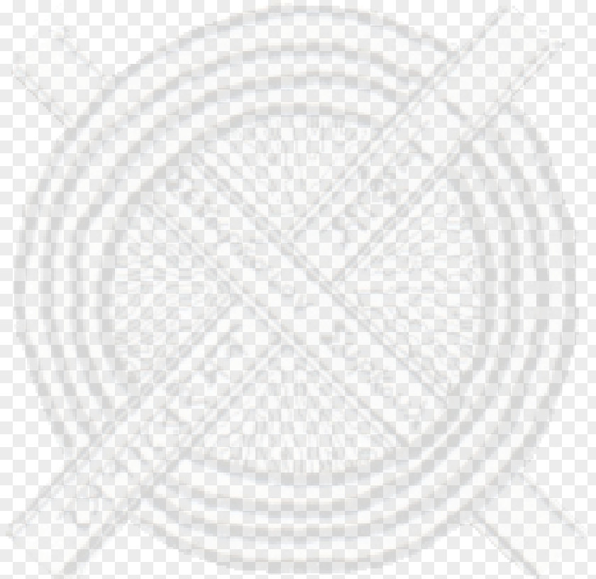 Circle Paper Line Art White Drawing PNG