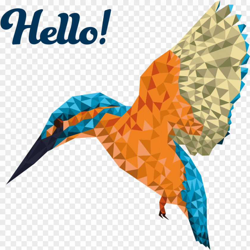 Falconiformes Paper Animal Cartoon PNG