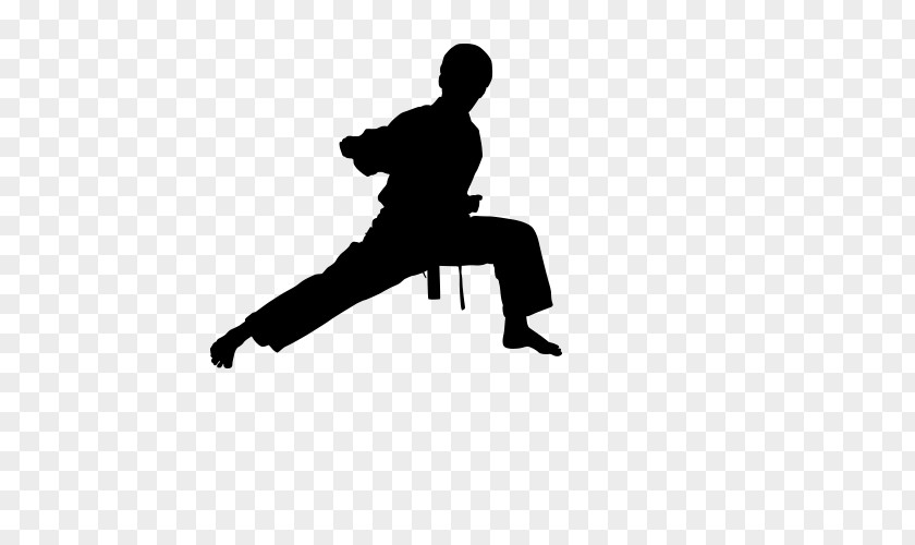 Fight Martial Arts Karate Silhouette Clip Art PNG