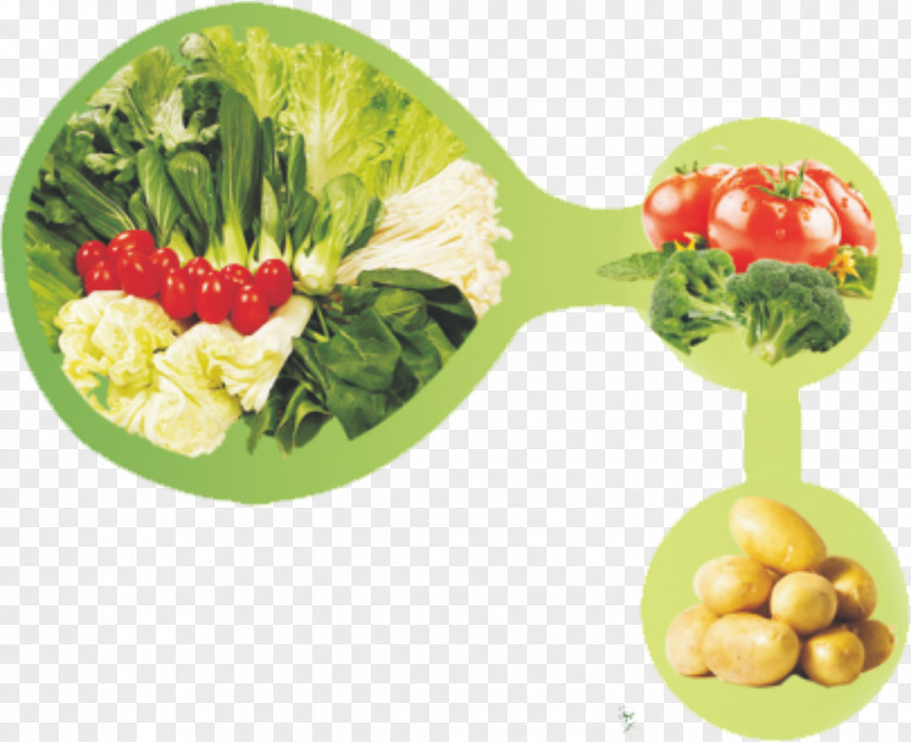 Fresh Vegetables Vegetable Chinese Cabbage Napa Food PNG