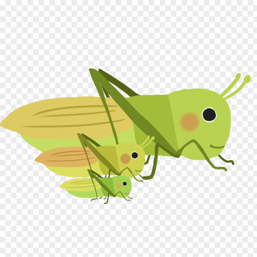 Insect 虫 Oneiromancy Divination Pest PNG