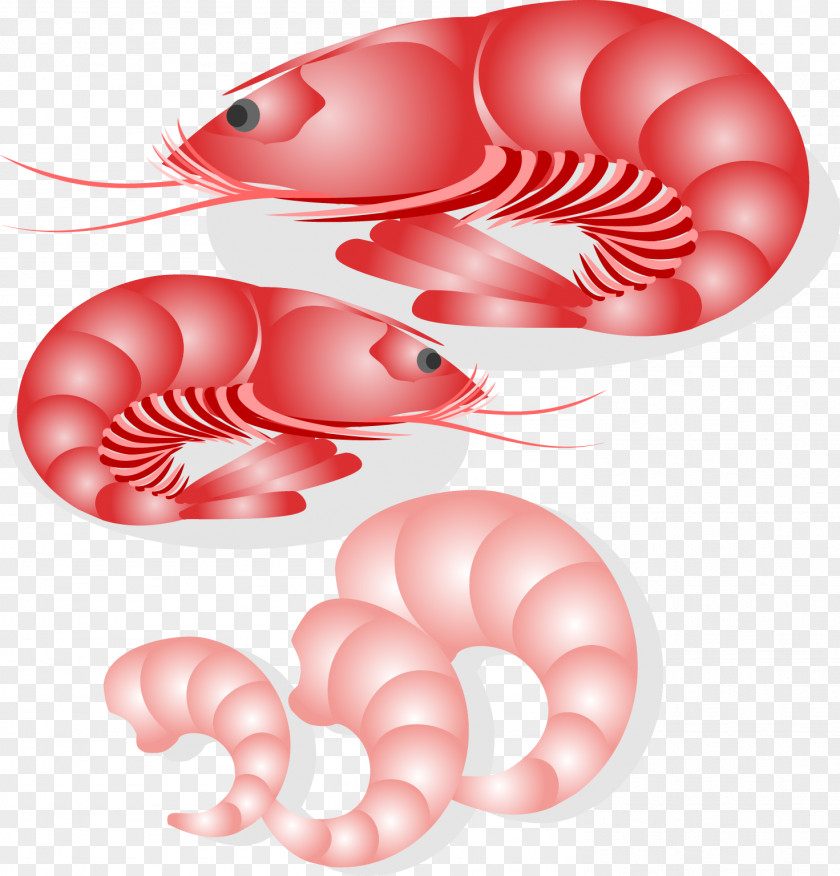 Japanese Seafood Vector Download Cuisine Fish PNG