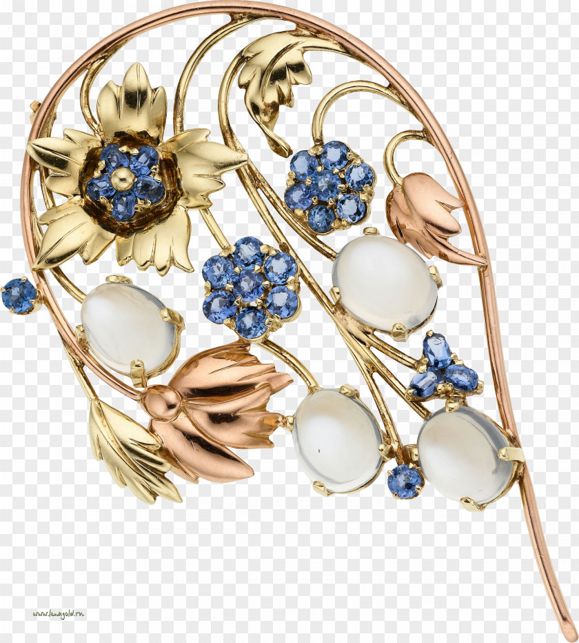 Jewellery Earring Gemstone Gold Brooch PNG
