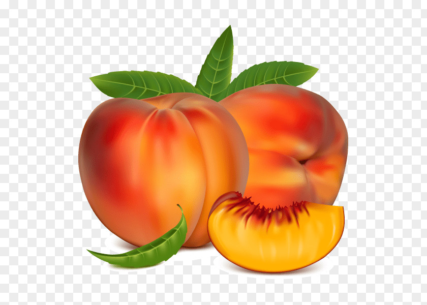 Orange PNG