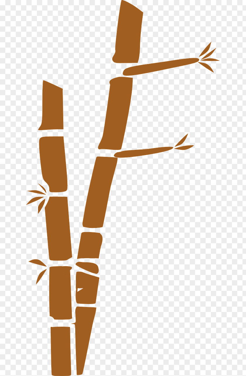 Bamboo Clip Art Image File Format PNG