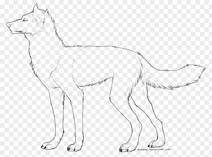Dog Breed Red Fox Line Art Whiskers PNG