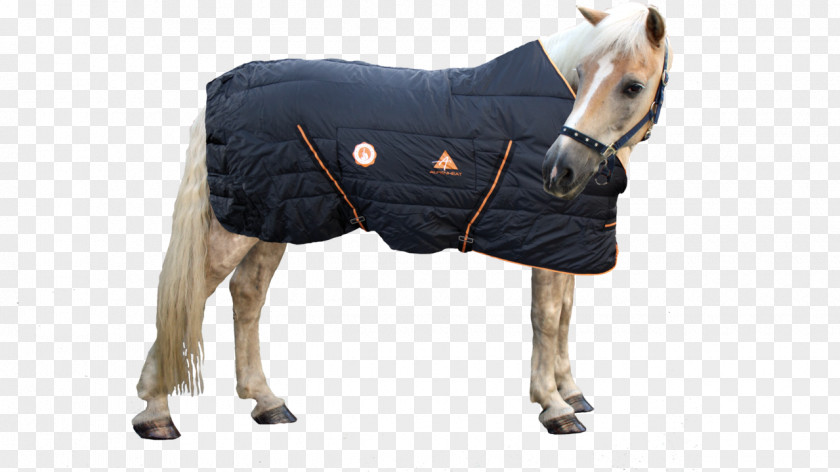 Fire Horse Blanket Electric Equestrian PNG