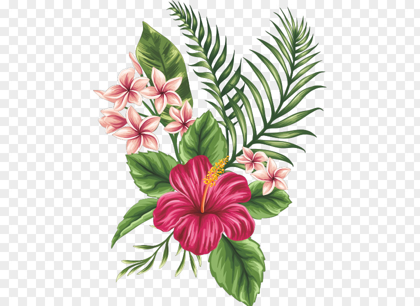 Flower Drawing Tropics Clip Art PNG
