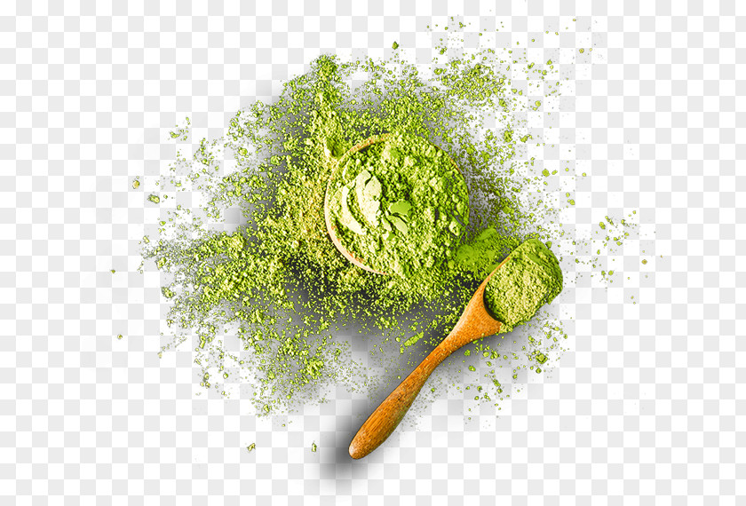 Green Tea Matcha Ice Cream PNG