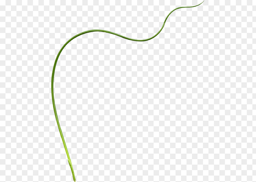 Line Material Green Pattern PNG