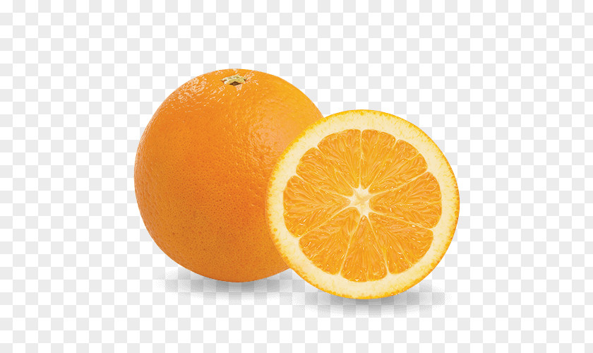 Orange Clementine Mandarin Tangelo Valencia PNG
