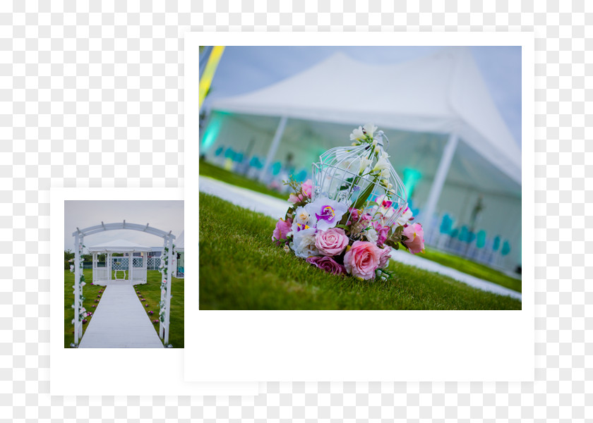 Wedding Градински комплекс Garden Weddings Floral Design Plovdiv Party PNG