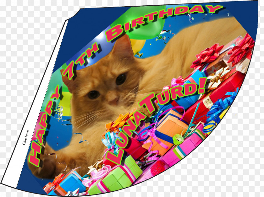 Birthday Party Hat Cat Whiskers PNG