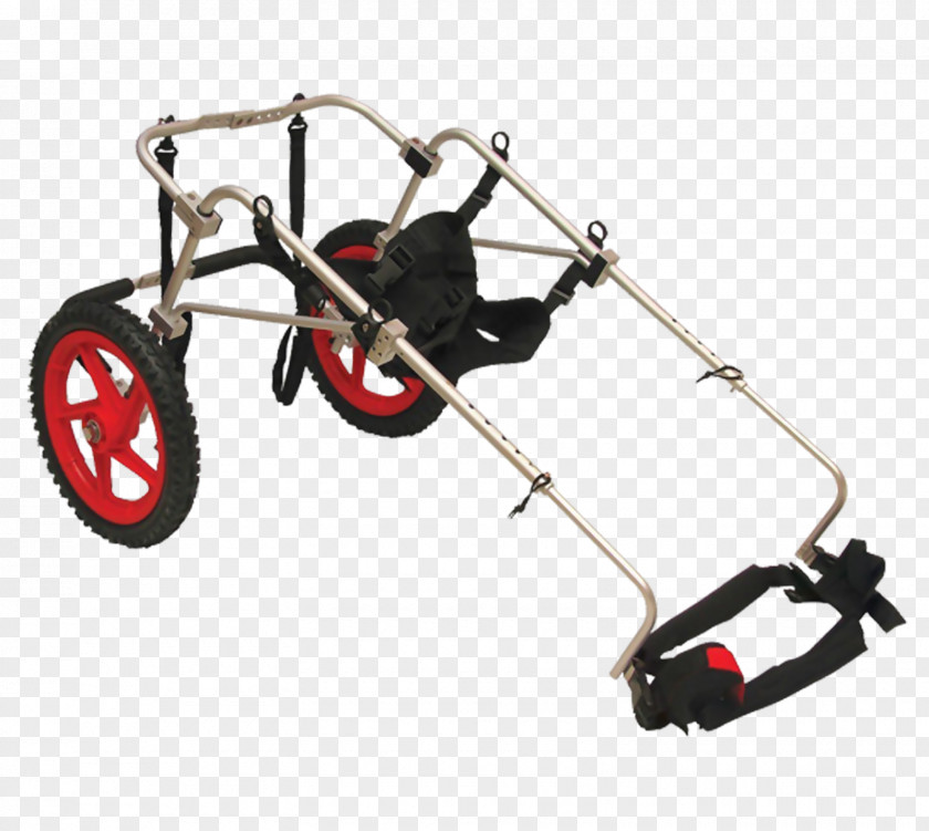 Dog Mobility Assistance Wheelchair Walkin' Wheels Amazon.com PNG