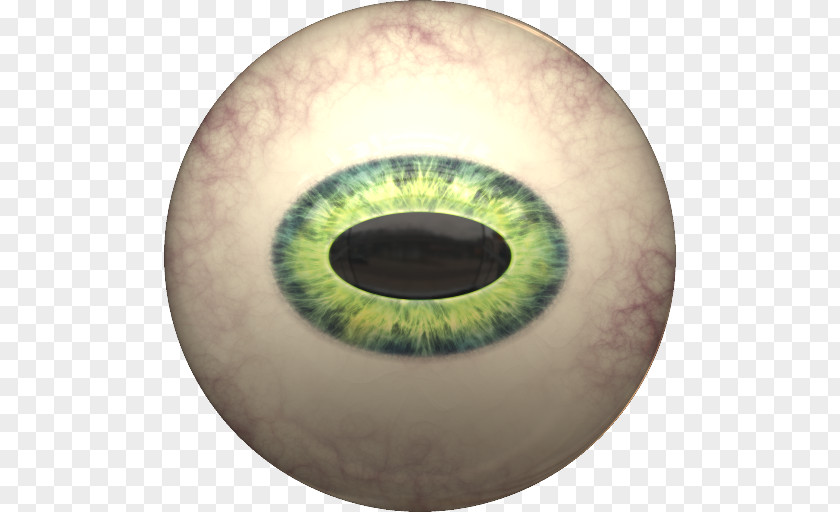 Octopus Ball Reptile Iris Cat's Eye Esthesiometer PNG