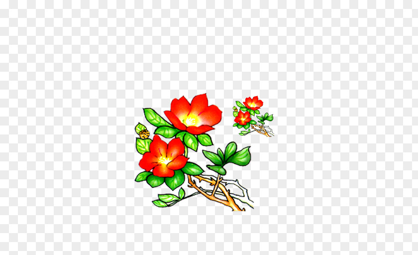 Pomegranate Pentax Floral Design PNG