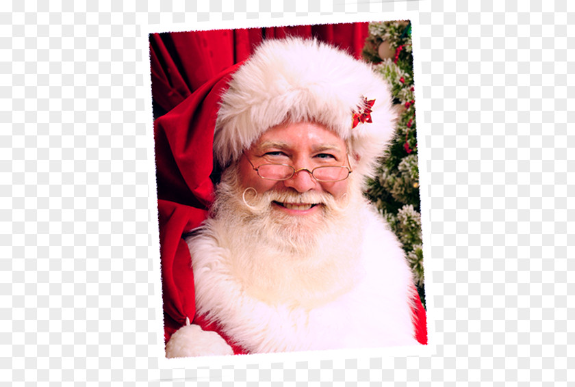 Real Beard Santa Claus Facial Hair Lap Christmas PNG