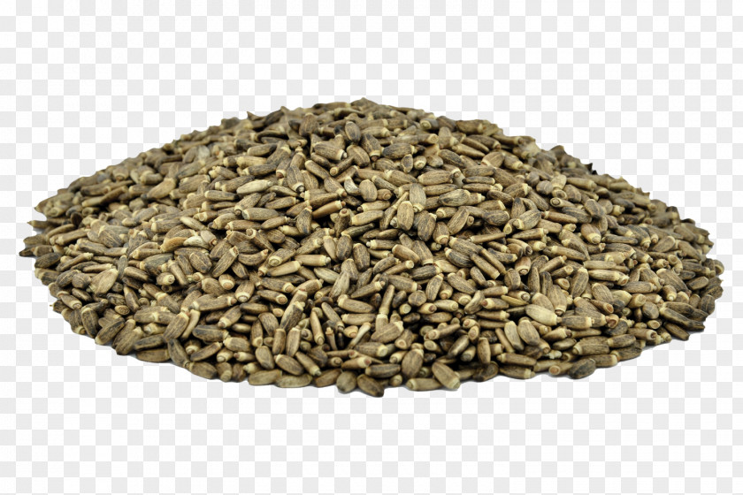 Seeds Soy Milk Thistle Seed PNG