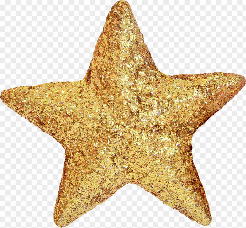 Starfish Star Christmas Ornament Raster Graphics Clip Art PNG