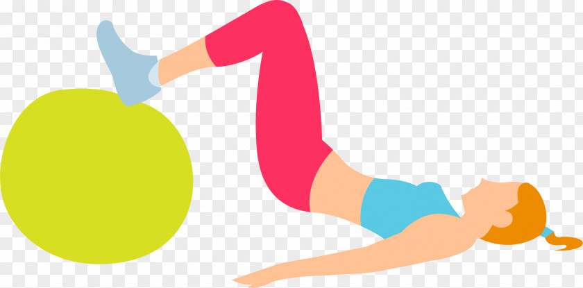 Yoga Ball Resume Training Physical Therapy PNG