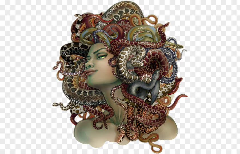 Book Medusa The Gorgon Greek Mythology Women & Power: A Manifesto PNG