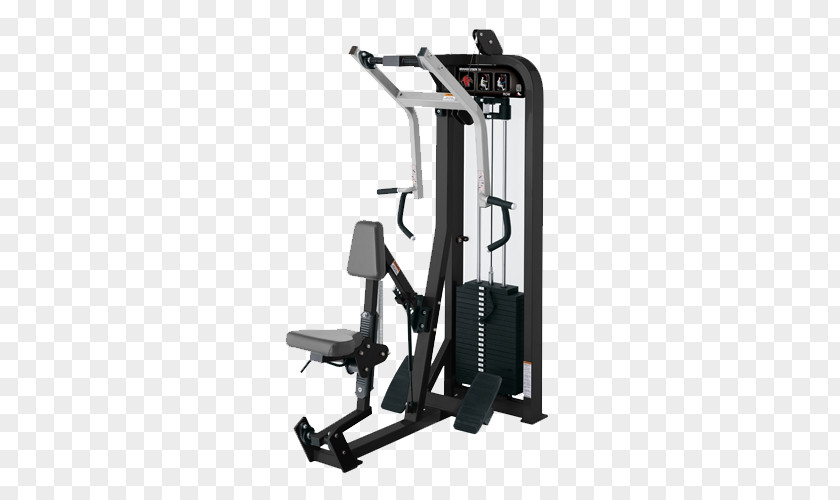 Gym Strength Training Row Fly Hyperextension Crunch PNG