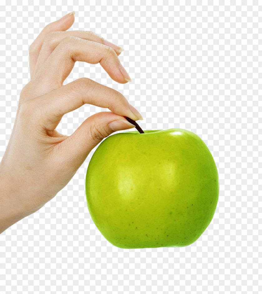 Holding Green Apple Fruit Download PNG