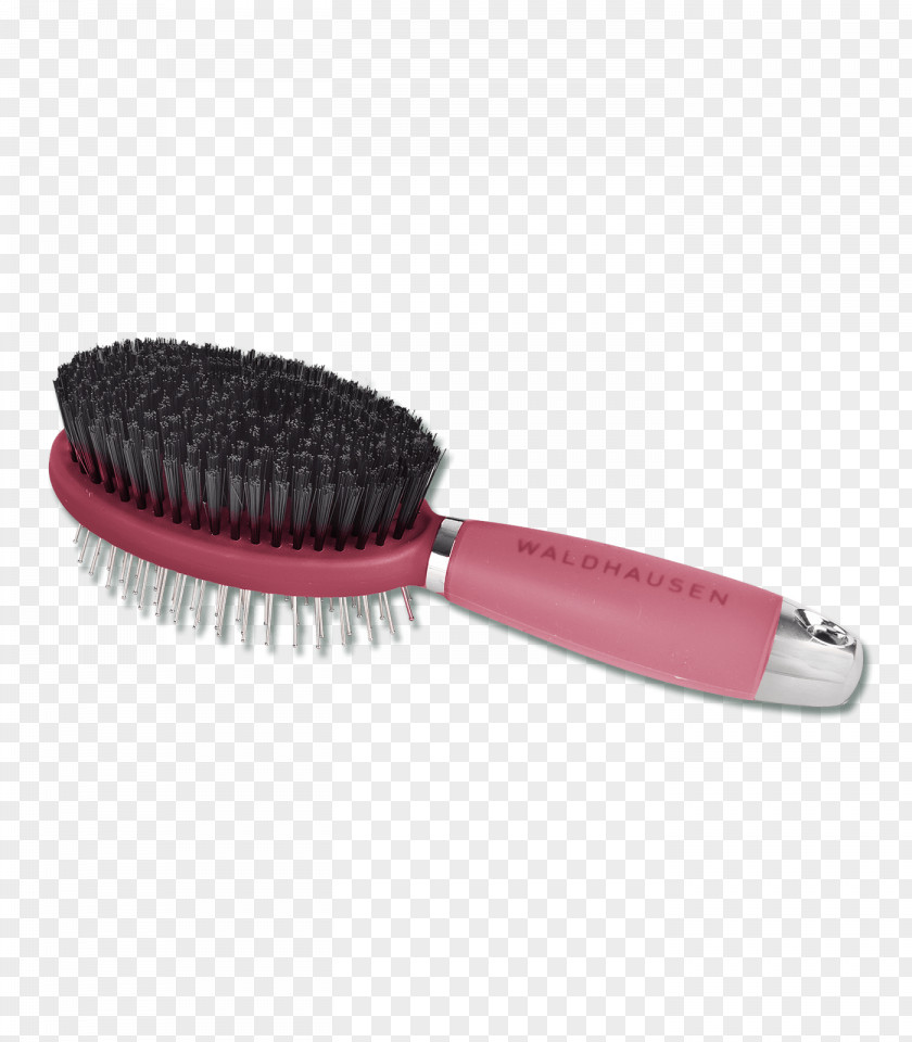 Horse Grooming Brush Pony Kardätsche PNG