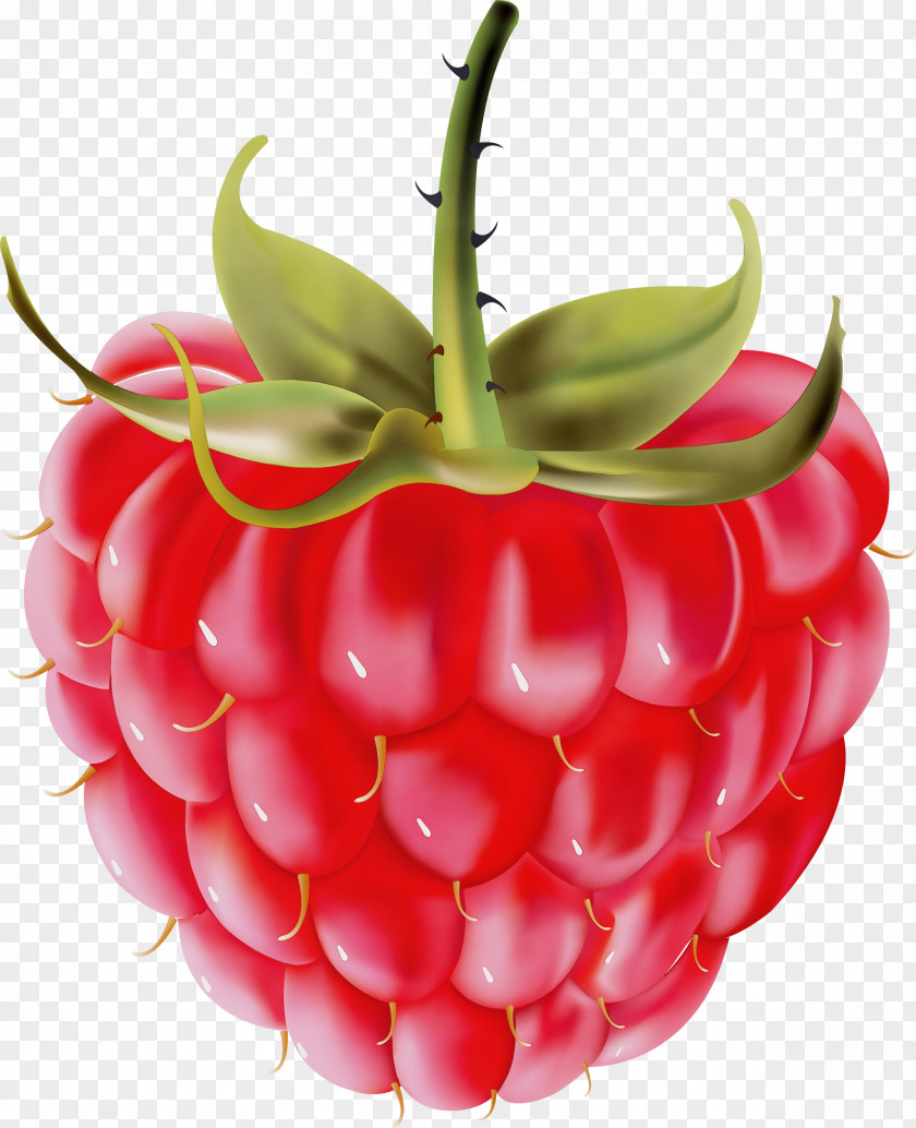 Seedless Fruit Food Strawberry PNG