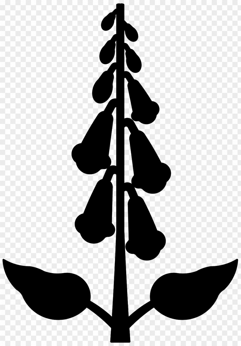 Clip Art Leaf Plant Stem Line Pattern PNG