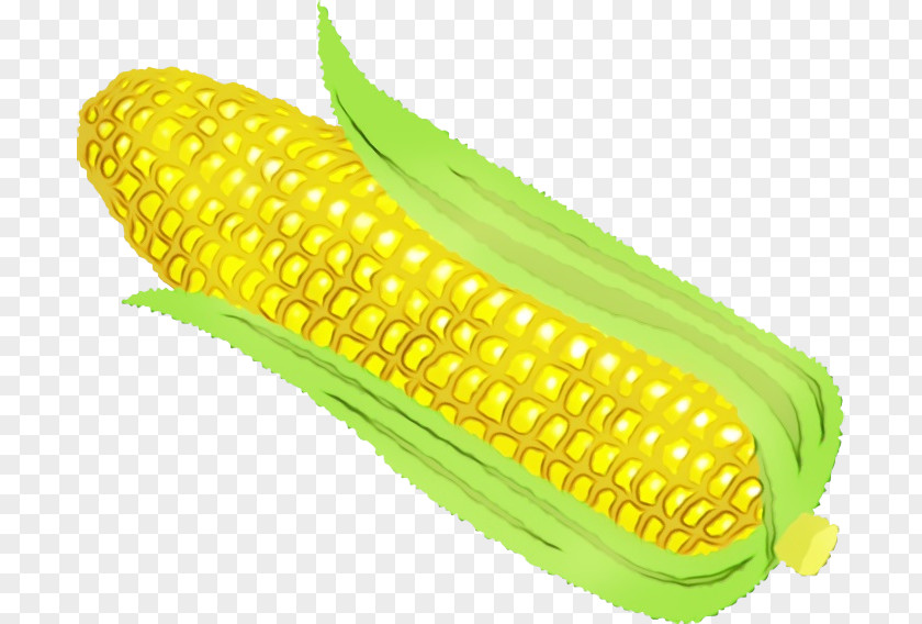 Corn On The Cob Commodity Kitchen Mail Order 泡立ちクロススポンジ 大判サイズ 不思議な スポンジ クロス 食器 プラスチック製品 シリコン容器 キッチン 洗い 台所 ふきん PNG