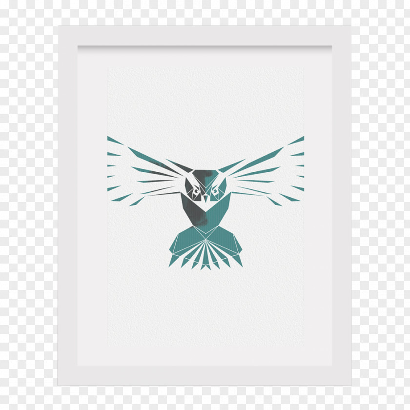 Inspired By The Green Skateboards Owl Wing Teal Feather Rectangle Beak PNG