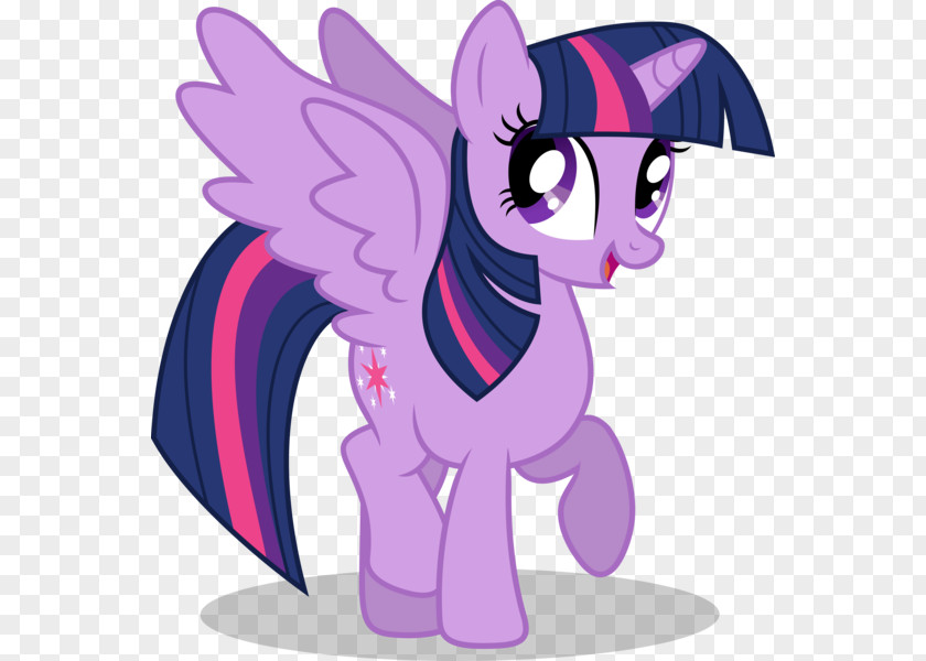 My Little Pony Twilight Sparkle Rainbow Dash Pony: Friendship Is Magic Pinkie Pie PNG