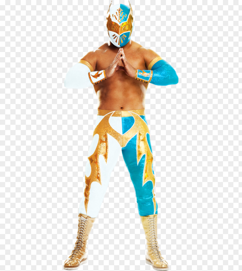 Professional Wrestler Lucha Libre WWE Wrestling The Dragons PNG libre wrestling Dragons, wwe clipart PNG