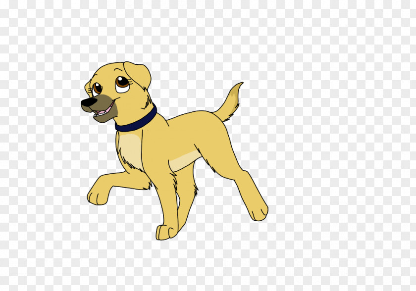 Puppy Dog Breed Sporting Group Retriever Companion PNG